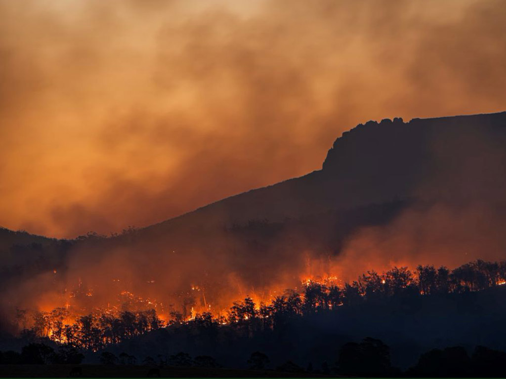 Larga y trágica historia de incendios forestales en Chile Foto