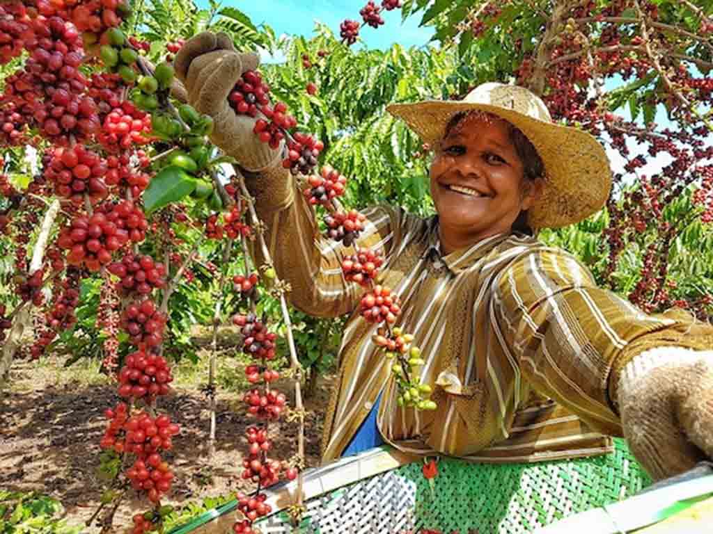 fao-promueve-empoderamiento-de-mujeres-rurales-en-latinoamerica