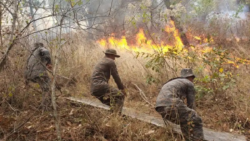 guatemala-con-87-incendios-activos-46-en-departamento-de-peten