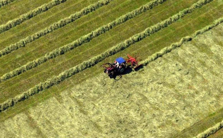 advierten-agricultores-alemanes-sobre-colapso-de-la-industria