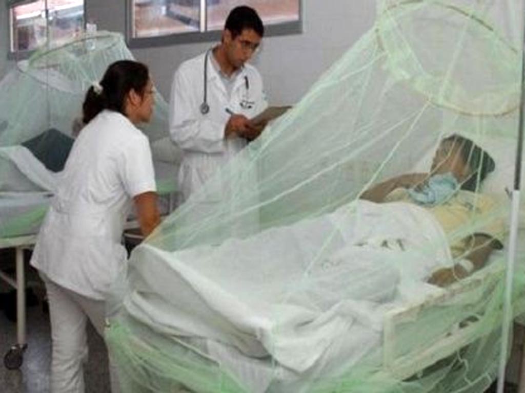 dengue-en-guatemala-sigue-en-ascenso-quintuplica-cifra-de-2023