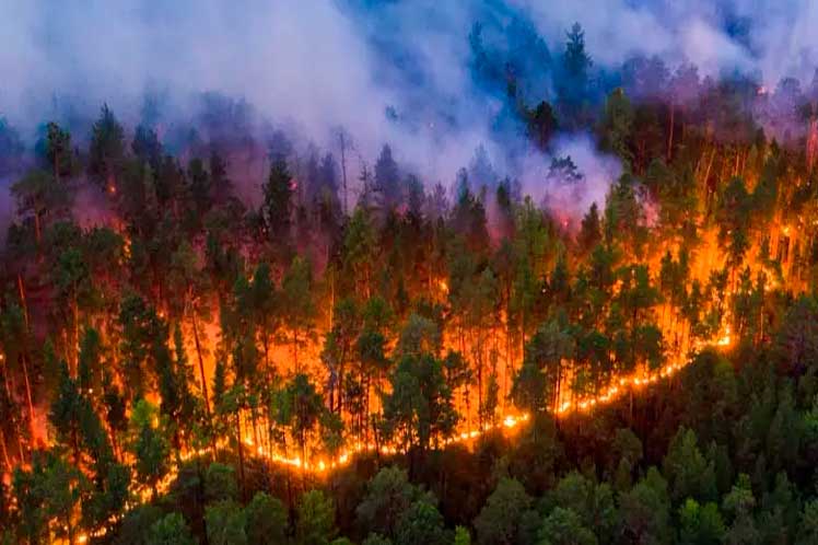 bomberos-rusos-controlan-incendio-forestal-en-rostov