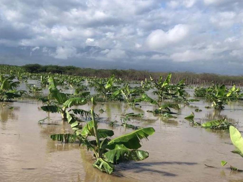 evaluan-perdidas-en-el-salvador-tras-intensas-lluvias