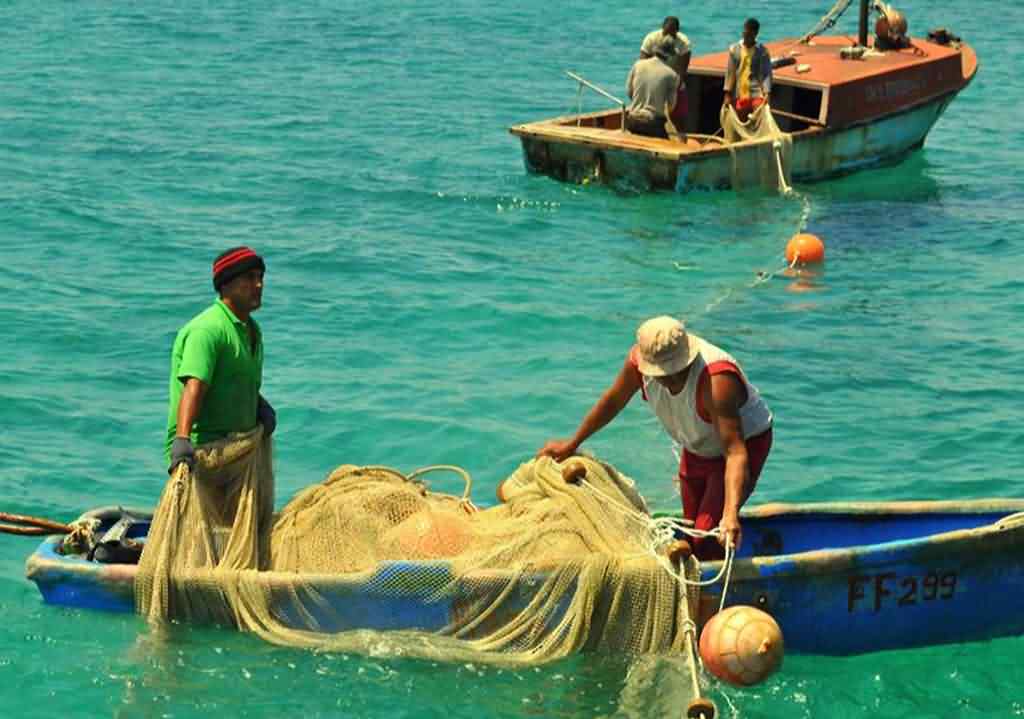 fao-anuncia-ayuda-para-actividad-pesquera-en-cuba