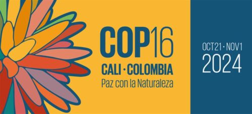 Colombia COP16