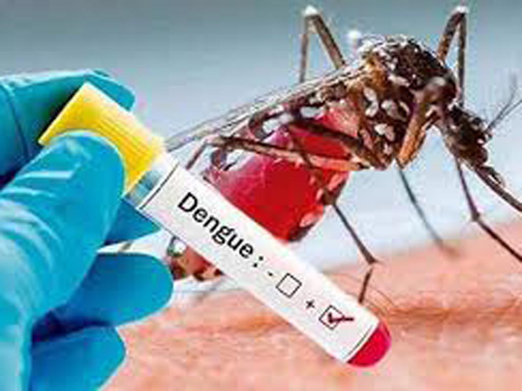 un-menor-tercera-victima-mortal-del-dengue-en-el-salvador