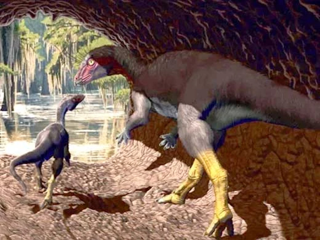 hallan-nueva-especie-de-dinosaurio-habitante-en-madrigueras