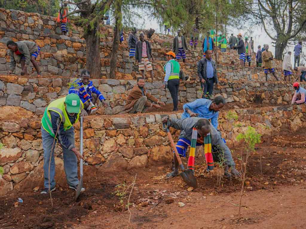 iniciativa-de-reforestacion-etiope-favorece-conservacion-de-suelos