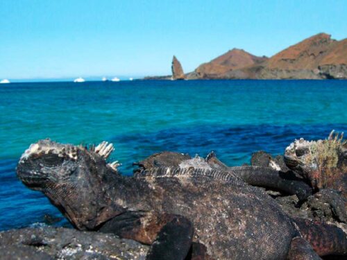 de-aniversario-parque-nacional-galapagos-paraiso-natural-en-ecuador