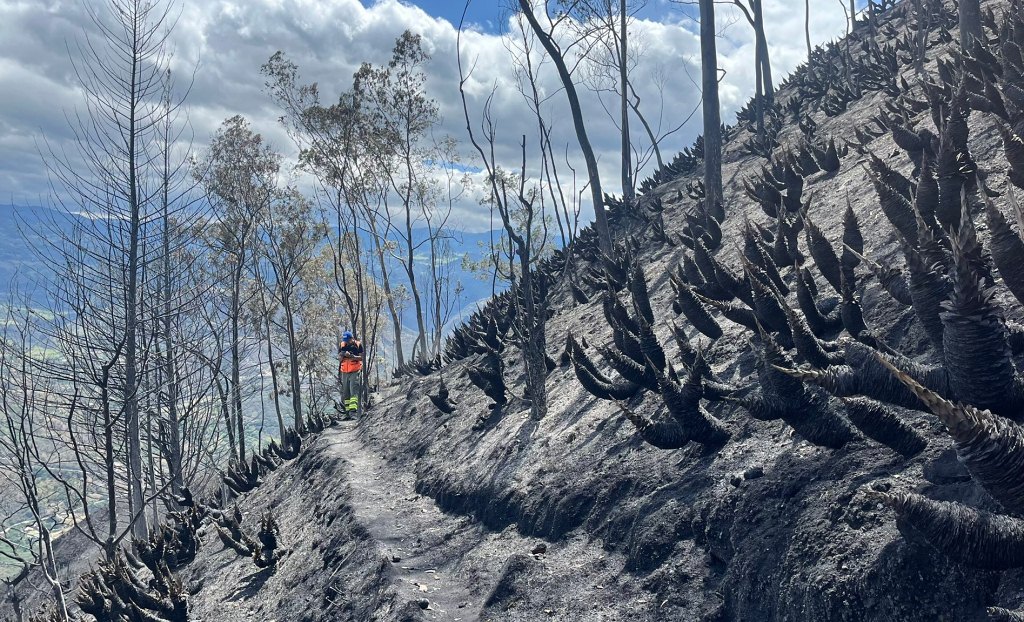 suben-a-200-las-hectareas-arrasadas-por-incendio-forestal-en-ecuador