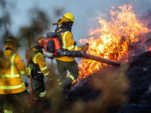 incendio-forestal-consumio-850-hectareas-en-ecuador