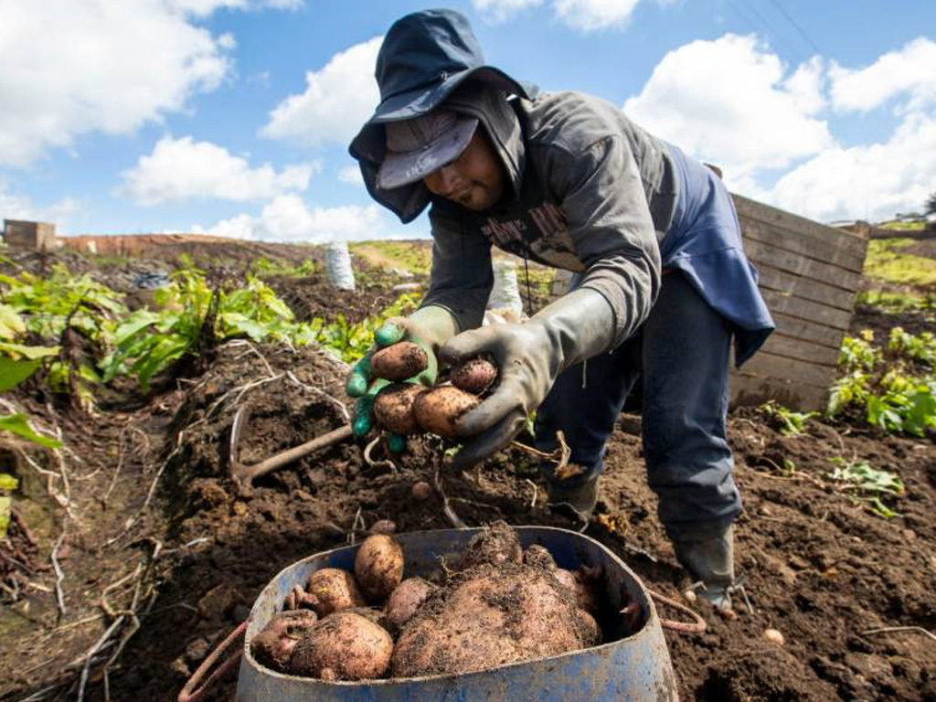 reforma-agraria-tarea-que-precisa-de-esfuerzos-conjuntos-en-colombia