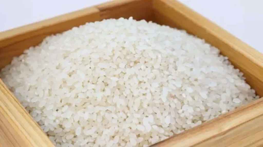 vietnam-avanza-hacia-ingreso-record-por-exportaciones-de-arroz