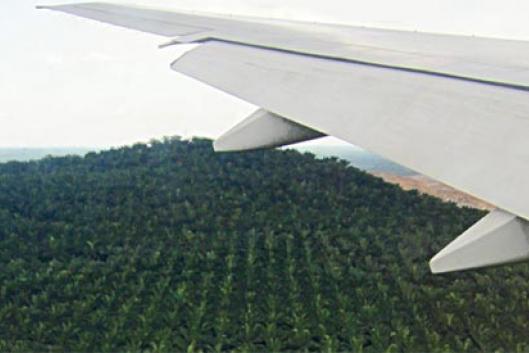 indonesia-producira-biomasa-para-combustible-de-aviones