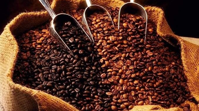 destacan-avances-significativos-del-sector-cafetalero-en-etiopia