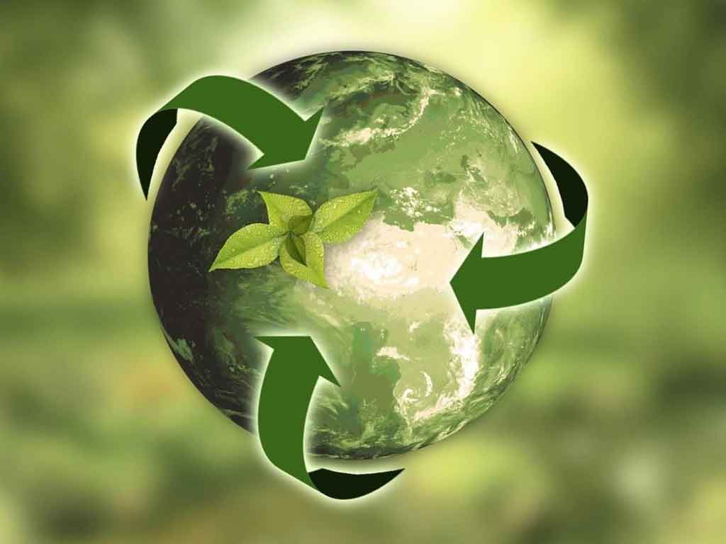 china-celebra-dia-nacional-de-ecologia-enfocado-en-desarrollo-verde