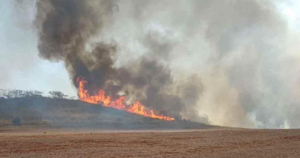 fuego-mantiene-48-ciudades-de-brasileno-sao-paulo-en-alerta-maxima