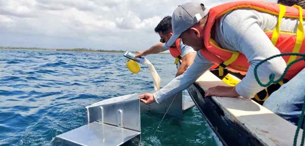 alertan-de-contaminacion-toxica-en-golfo-de-centroamerica