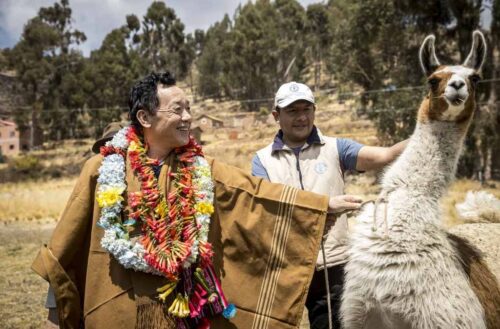 director-de-la-fao-resalta-en-bolivia-importancia-de-camelidos