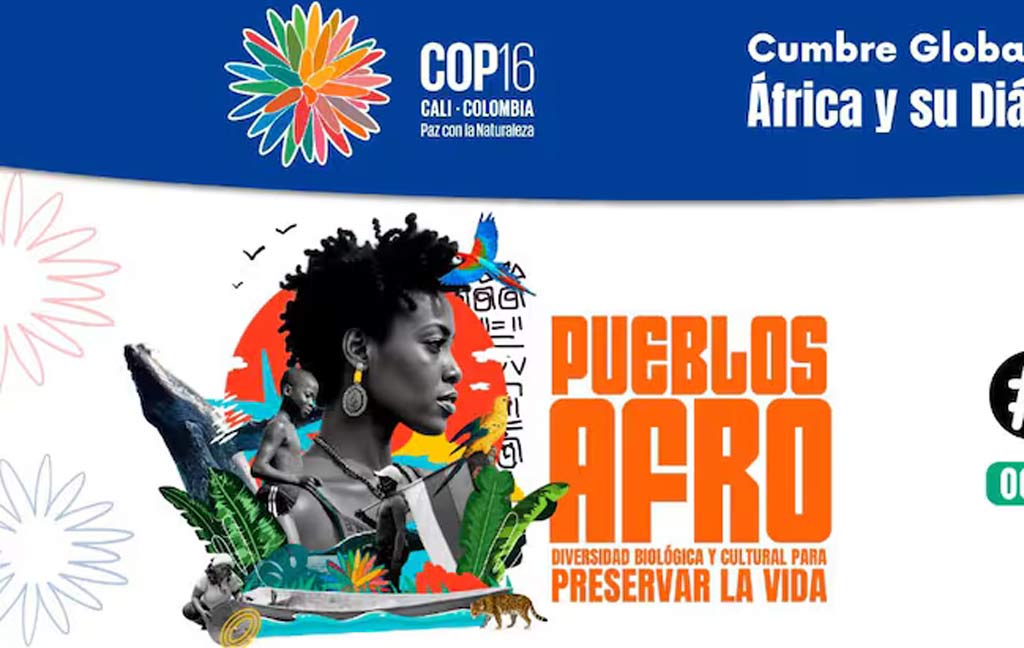 celebran-cumbre-sobre-afrodescendencia-y-biodiversidad-en-colombia