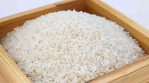 insta-presidente-de-cuba-a-incrementar-la-produccion-de-arroz