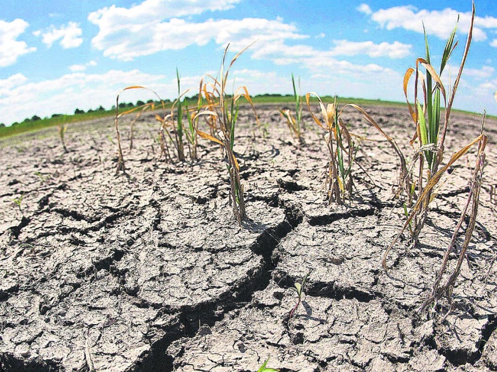 sequia-afecta-ingresos-por-generacion-de-energia-en-paraguay