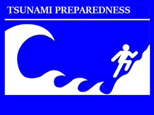 necesaria-hoja-de-ruta-de-preparacion-mundial-ante-tsunamis