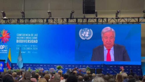 guterres-insta-a-rescatar-a-la-humanidad-de-un-coche-funebre-en-cop16