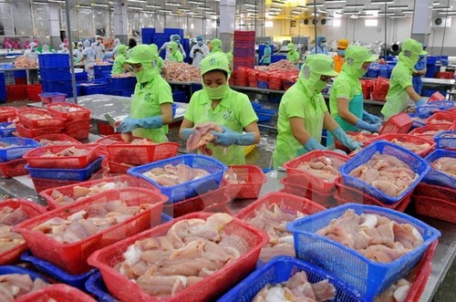 al-alza-exportaciones-de-productos-acuaticos-de-vietnam