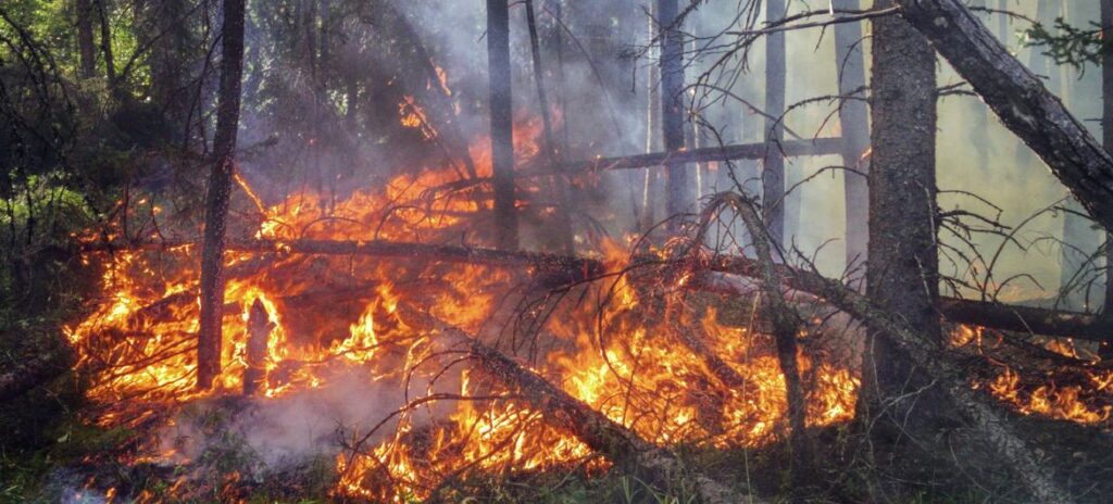 planeta-al-borde-del-abismo-la-alerta-de-onu-sobre-estado-de-clima