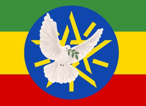 consejo-interreligioso-convoco-a-conferencia-de-paz-en-etiopia