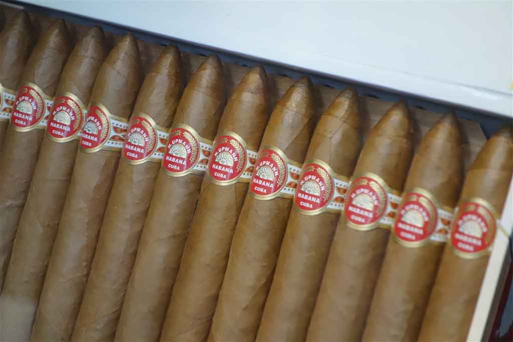 habanos-ano-trinidad-se-despide-en-qatar