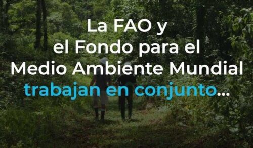 fao-viabilizo-aporte-de-fondos-para-enfrentar-danos-medioambientales