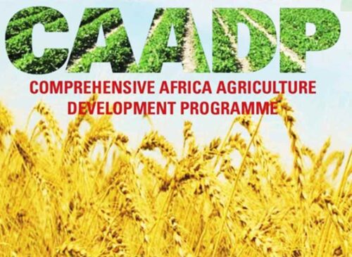 comenzara-en-uganda-cumbre-sobre-programa-agricola-en-africa