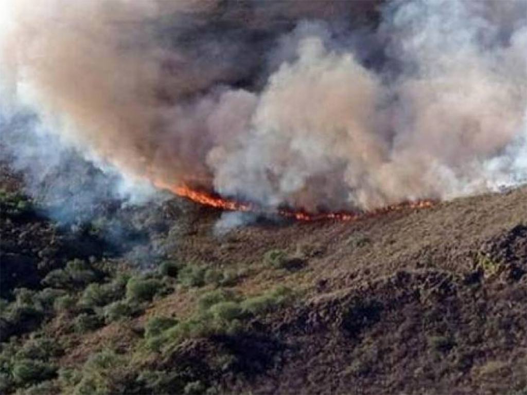 paraguay-registro-152-incendios-activos-en-lo-que-va-de-enero